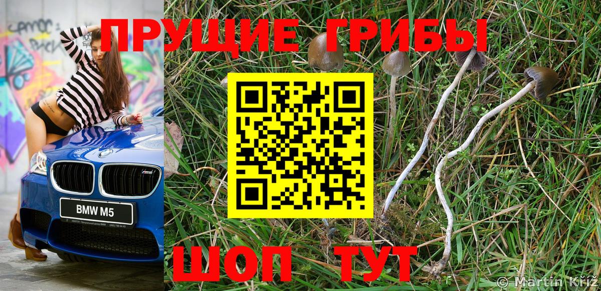 Галлюциногенные грибы ЛСД Саяногорск
